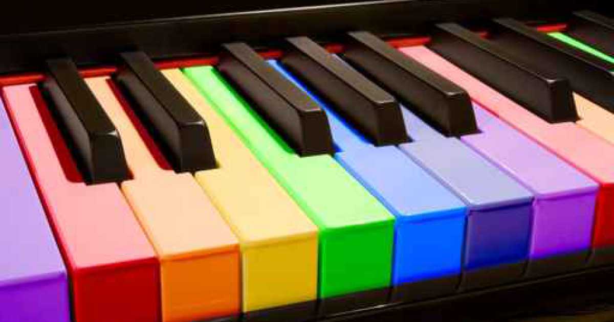 Locali serali, porte chiuse a chi compone canzoni: �Preferiamo le cover band�